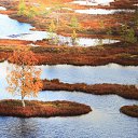   ().   . , 2012.     . 