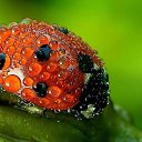 ���� ��������, ������ - ��������� 14 ������� 2013 � ������ ������ ��������