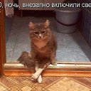 ���� ���������, ��������� - ��������� 6 ������� 2014 � ������ ���� ����������