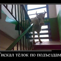 ���� ������, ����� �������, 42 ���� - ��������� 30 ������ 2014