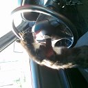 ���� ����, ������� - ��������� 13 ������� 2013