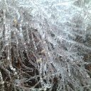 ����� ����� ��� ������� �����. ����� �������� �� ���� �� ������� ������ ��������