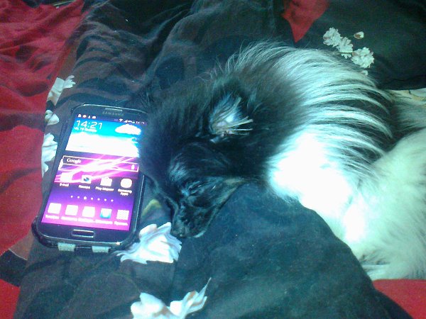     :   Galaxy S4 - , -