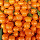 ���� �����, �������������� - ��������� 5 ������ 2014 � ������ ���� ����������