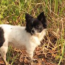 ���� << �����, ���������, 35 ��� - ��������� 2 ������� 2013 � ������ ���� ����������