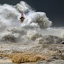 ���� �����, �����������, 61 ��� - ��������� 23 ������� 2013 � ������ ���� ����������