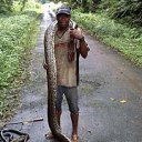  , , 63  -  2  2013     ༻