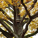  , , 68  -  14  2013    ...