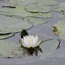 ���� �������, ������ ��������, 59 ��� - ��������� 30 ���� 2014