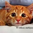  Lyubasha,  -  20  2014    