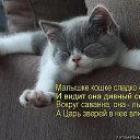 ���� ����, �����-��������� - ��������� 5 ���� 2014 � ������ ������ ��������