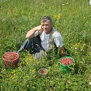 ���� ������, ��������, 67 ��� - ��������� 13 ������ 2014 � ������ ���� ����������