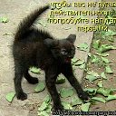 ���� ������, ������������, 52 ���� - ��������� 2 ���� 2014 � ������ ������ ��������