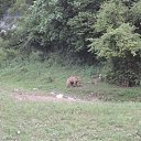 ��� ���� ����� �� �������� �� ����� �� ������� ���� ��� ��������