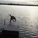 ���� Arkan, ����������� - ��������� 17 ���� 2014 � ������ ���� ����������