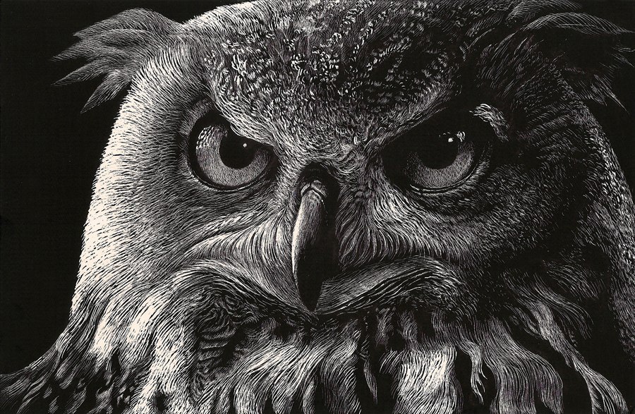 Art & Fun - 14  2014  21:30