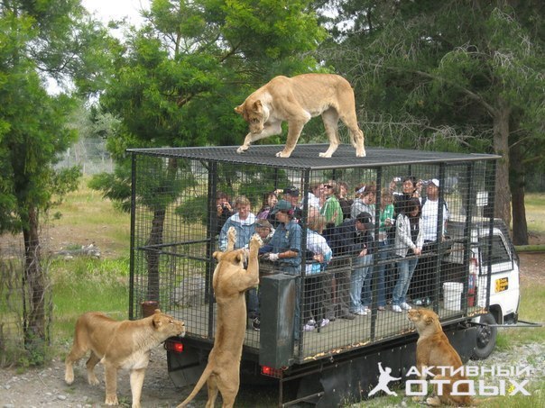    Orana Wildlife Park,  .