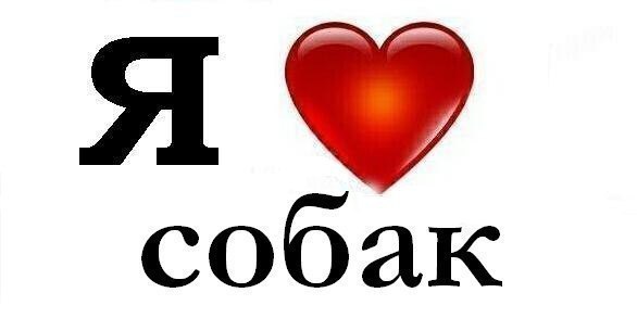 .•°Dogs Forever°•. - 2 августа 2014 в 19:42