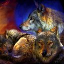 ���� Volk, �������, 46 ��� - ��������� 21 ��� 2014 � ������ ������ ��������