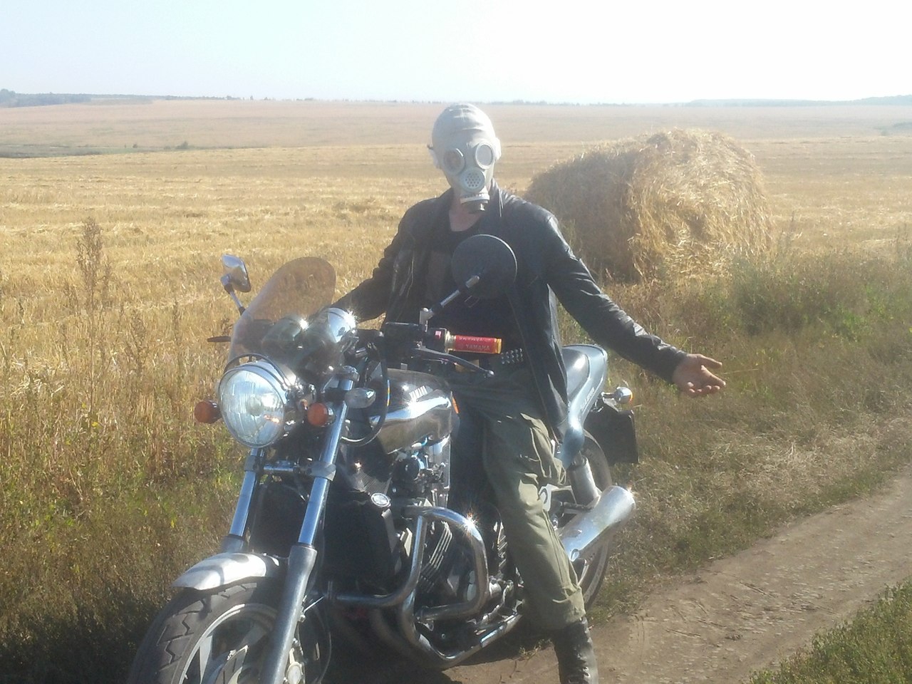 Ox - 17  2014  15:17