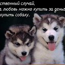 ���� ��������, ������, 55 ��� - ��������� 21 ������� 2014 � ������ ���� ����������