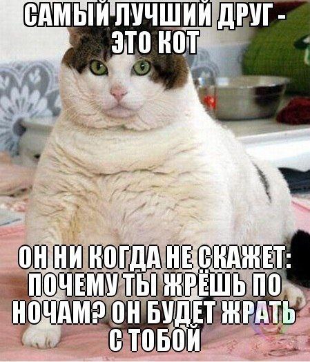 Art & Fun - 18  2014  04:14