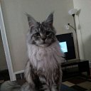 ���� ����, ������ - ��������� 10 ������ 2014 � ������ ���� ����������