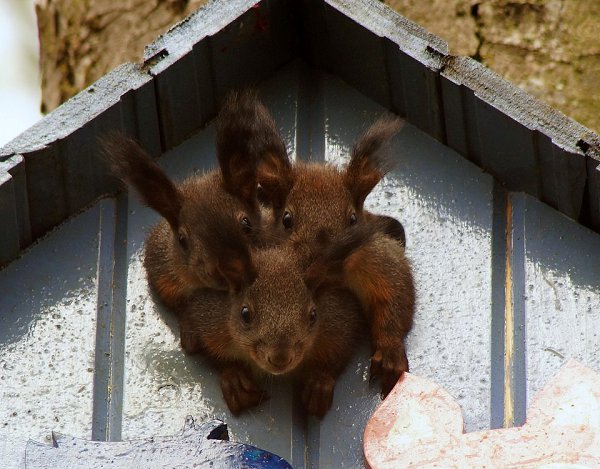 ★    ★ - 12  2014  20:13