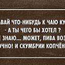 ���� �������, ������, 43 ���� - ��������� 23 ��� 2014 � ������ ������ ��������