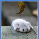  ,   -  13  2014    ?