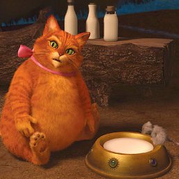 ����, �����-���������, 55 ���