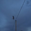 ���� �������, �����-��������� - ��������� 21 ���� 2014 � ������ ������ ��������