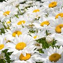 ���� ������, ������������, 49 ��� - ��������� 28 ������ 2014 � ������ ������ ��������