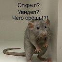 ���� �eartless, ������� - ��������� 15 ��� 2014 � ������ ������ ��������