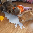���� Tatul, ���� - ��������� 27 ��� 2014 � ������ ������ ��������