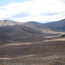 ���� �������, ����������, 49 ��� - ��������� 16 ��� 2014 � ������ ���� ����������