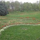 ���� ���������, ����, 53 ���� - ��������� 20 ������ 2014 � ������ ��������� ��������� ����-2014�