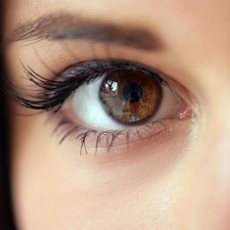 ���, ������, 64 ����