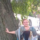 ���� ������, �����-���������, 63 ���� - ��������� 31 ���� 2014 � ������ ������ ��������