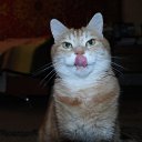 ���� �������, ������, 40 ��� - ��������� 21 ��� 2014 � ������ ���� ����������