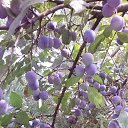 ���� ��������, ������ - ��������� 12 ������� 2014 � ������ ������ ��������