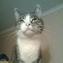 ���� ���, ������ �����, 53 ���� - ��������� 25 ��� 2014 � ������ ������