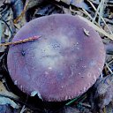 ���� �����, �����, 64 ���� - ��������� 6 ��� 2014 � ������ ������������ ������