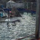  ,  , 23  -  17  2014    