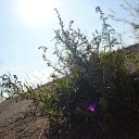 ���� �����, ������� - ��������� 18 ������� 2014 � ������ �17.08.2014�.�