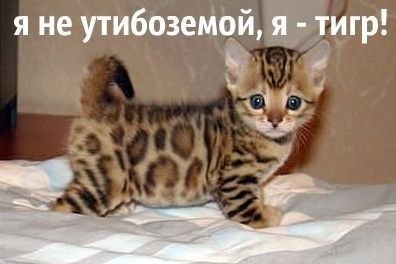 ����� ����� - 28 ����� 2014 � 16:43