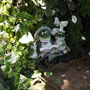 ���� *���������*, ������-��-���� - ��������� 19 ������� 2014 � ������ ���� ����������