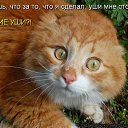 ���� Cshohkolad, ������ - ��������� 10 ���� 2014 � ������ ������ ��������