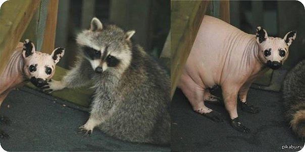    .