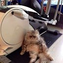 ���� �������, ��������� - ��������� 13 ��� 2014 � ������ �:)�